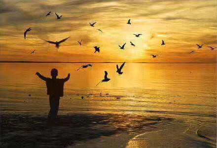 1607784396196440.jpg d722575ac3d728e493ed049a5e58617.jpg