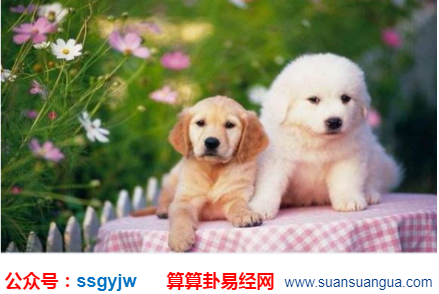 1607857419113405.png 1597026153(1).png