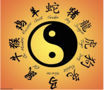 十二属相:属猪的人出生在几月运势较好