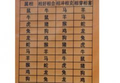 生肖算命:属猪的人出生在二十八日运势好不好