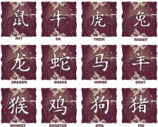 十二属相:属狗配属猴的婚姻好不好