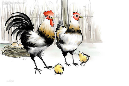 1609249598139737.jpg u=105434594,3870716784&fm=26&gp=0.jpg