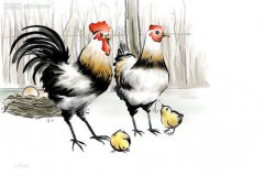 免费大师算命：生肖属鸡人51岁有灾 身体出现小病小灾