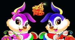 周易算命算命：兔爸爸和狗妈妈生什么宝宝好