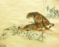 虎爸爸和兔妈妈生什么宝宝好 周易算命婚姻