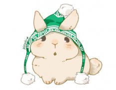 周易算命算命​​：75年的兔干什么行业较好 顺应时代从事科技工作