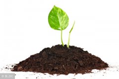 周易与易经：五行缺土的人忌讳什么风水