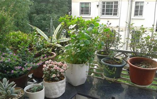 1610682023132322.jpg 下载.jpg