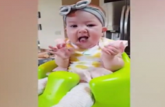 命理算命：猪爸爸和猪妈妈生什么宝宝好