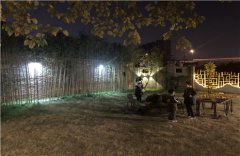 命理算命：猪爸爸和狗妈妈生什么宝宝好