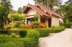 易经风水：门前种什么树较旺财旺人