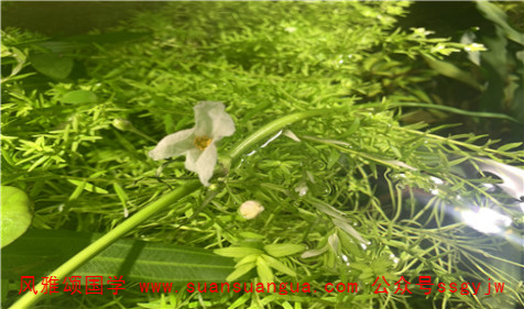 1611466611125080.jpg weixintupian_20201201230039.jpg