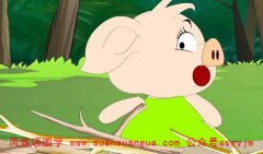 周易与算命​：1983年属猪的命运好 2021年事业爱情顺风顺水