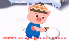 71年属猪几月命不好 命里自带一些运气 真人算命一条街