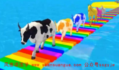 周易算命算命:属牛的十几岁是本命年 实岁12岁虚岁13岁