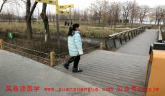 周易与五行​：土命较厉害的哪种土 夏天出生土命较强