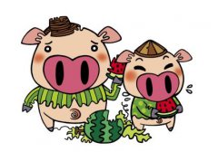 周易与算命​：属猪2021年桃花运好吗