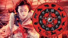 属龙和属猪合不合 占卜算命婚姻