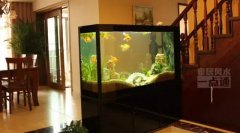 鱼缸放在什么方位较旺财 周易风水算命