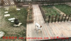 2021年3月21日需要注意的属相有哪些 周易八卦算命​