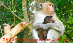 易经在线算命：2021年3月19日需要注意的属相有哪些