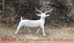 运程算命：1979年属羊何时走大运 马年财官运势旺盛