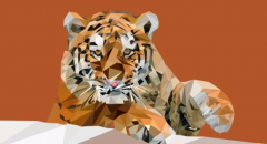 八字合婚:2021今年生肖虎感情运旺,也会迎来一个牛宝宝