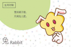 生肖配对算命:生肖兔和生肖兔2021小两口生活适合添丁