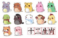 周易易经算命:猪年亥时女孩绝对行动派运势非常好