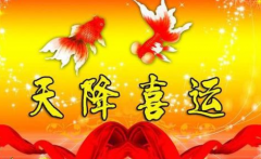 生肖配对算命:属猴人和属狗2021两人会很和谐二者相互欣赏