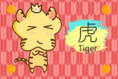 生肖配对算命:生肖虎和生肖狗属相相刑需要更多的包容和理解