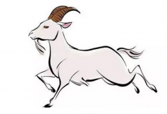 4.5-4.11周生肖运势:十二生肖羊本周运势