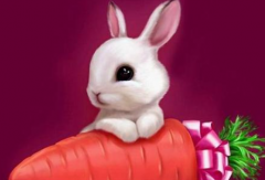 命理算命:1963年属兔58岁的他们全年运势凶星入命提防小人