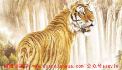 在线八字算命_1998年4月虎女一辈子命运讨厌乏味生活