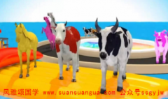 周易算命算命_97年属牛2021年几月结婚好受到一些运势影响