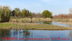 周易八卦算命_牛年立夏前后出生的宝宝一生无忧无虑财运蹭蹭上涨