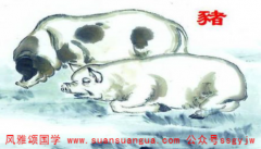 五行八字算命:属猪和属猪难以走得长久容易聚少离多