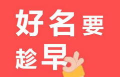 五行属木较吉利的字用于公司起名 大林木命公司风水