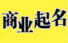 五行属木的字有哪些 公司起名字有亲和力简单明了