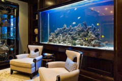 客厅风水摆件鱼缸的较佳摆放 不可过大或过高