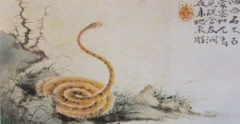 周易算命1965年属蛇人寿命 基本上都能活到80岁以上