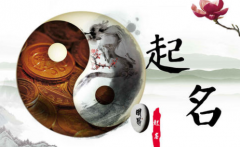 易经测名网上店铺这样起名字流量大生意好 能通过店名看出主营产品