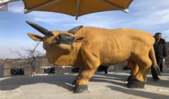 2022年生肖牛佩戴饰品颜色是什么 易经看风水佩戴什么吉利(图文)