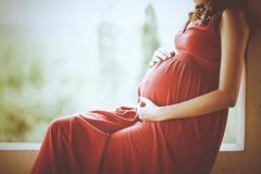 2022年生肖鼠人怀孕运势 婚姻预测最准的网站详解（图文）