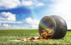 2021年夏至财运暴涨的星座 财运算命真是惹人羡慕（图文）