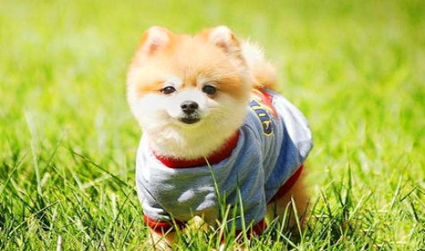 1622382837917523.jpg weixintupian_20210310213301.jpg