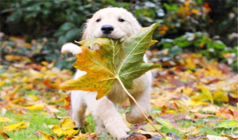 1622382843115346.jpg 202012191608367414560005.jpg