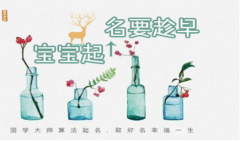 2021年阴历十二月二十六出生的女孩起名大全（图文）