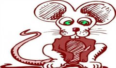 2022年生肖鼠开业怎样 易经八卦算命详解(图文)