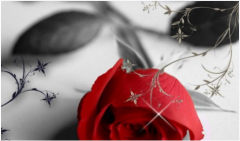 占卜爱情金牛座2021年7月爱情劫是哪个星座